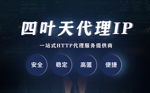 【儋州代理IP】代理ip客户端使用教程